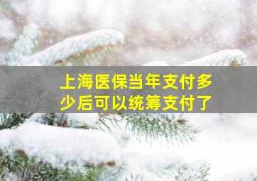 上海医保当年支付多少后可以统筹支付了