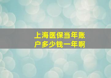 上海医保当年账户多少钱一年啊