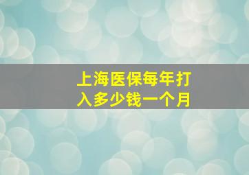 上海医保每年打入多少钱一个月