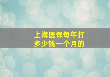 上海医保每年打多少钱一个月的