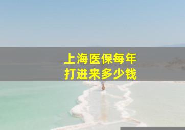 上海医保每年打进来多少钱