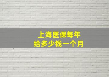 上海医保每年给多少钱一个月