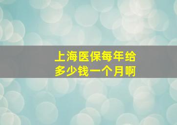 上海医保每年给多少钱一个月啊