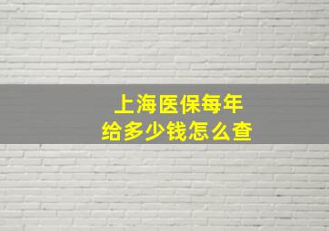 上海医保每年给多少钱怎么查