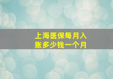 上海医保每月入账多少钱一个月