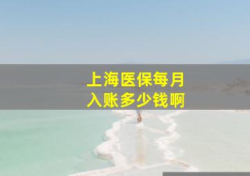 上海医保每月入账多少钱啊