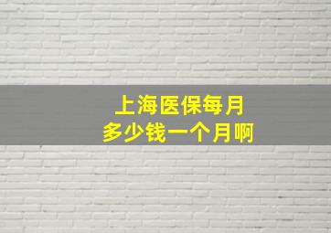 上海医保每月多少钱一个月啊