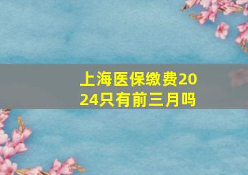 上海医保缴费2024只有前三月吗