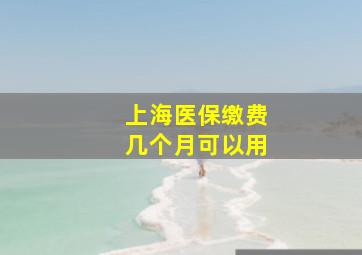 上海医保缴费几个月可以用