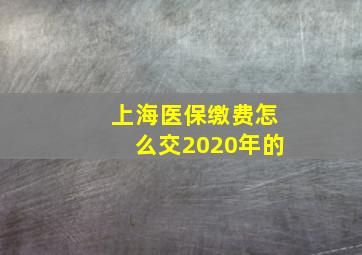 上海医保缴费怎么交2020年的