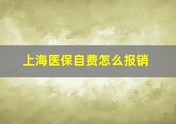 上海医保自费怎么报销