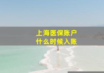 上海医保账户什么时候入账