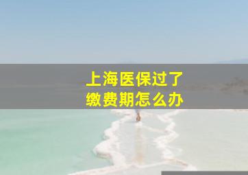 上海医保过了缴费期怎么办