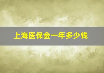 上海医保金一年多少钱