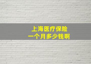 上海医疗保险一个月多少钱啊