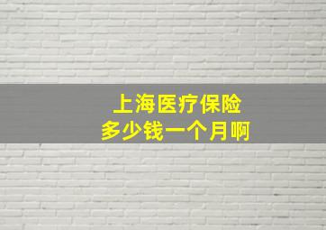 上海医疗保险多少钱一个月啊