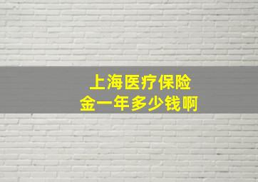 上海医疗保险金一年多少钱啊