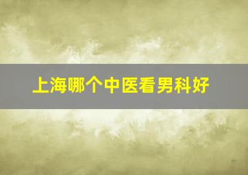 上海哪个中医看男科好