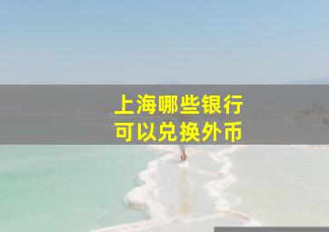 上海哪些银行可以兑换外币