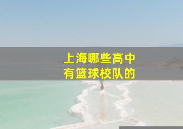 上海哪些高中有篮球校队的