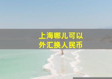 上海哪儿可以外汇换人民币