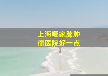 上海哪家肺肿瘤医院好一点