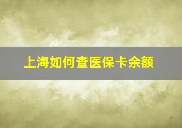 上海如何查医保卡余额