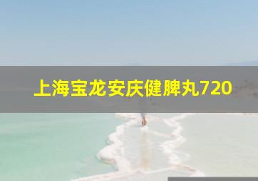 上海宝龙安庆健脾丸720