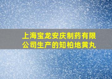 上海宝龙安庆制药有限公司生产的知柏地黄丸