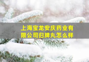 上海宝龙安庆药业有限公司归脾丸怎么样