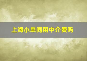 上海小单间用中介费吗