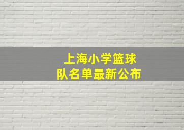 上海小学篮球队名单最新公布