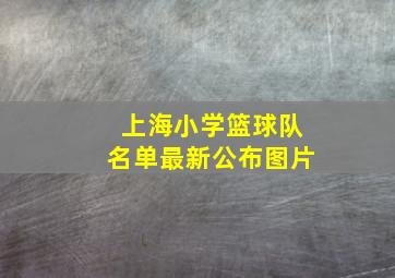 上海小学篮球队名单最新公布图片