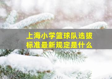 上海小学篮球队选拔标准最新规定是什么