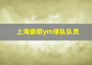 上海崇明ym球队队员