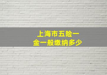 上海市五险一金一般缴纳多少