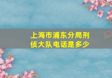 上海市浦东分局刑侦大队电话是多少