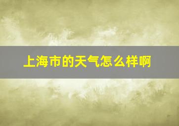 上海市的天气怎么样啊