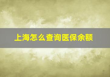 上海怎么查询医保余额