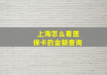 上海怎么看医保卡的金额查询