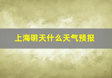 上海明天什么天气预报