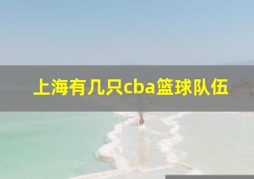 上海有几只cba篮球队伍