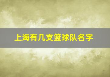 上海有几支篮球队名字