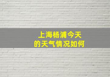 上海杨浦今天的天气情况如何