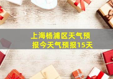 上海杨浦区天气预报今天气预报15天