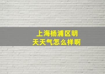 上海杨浦区明天天气怎么样啊