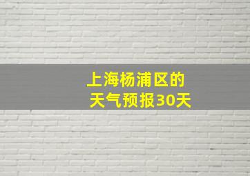 上海杨浦区的天气预报30天