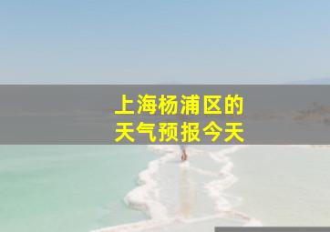 上海杨浦区的天气预报今天