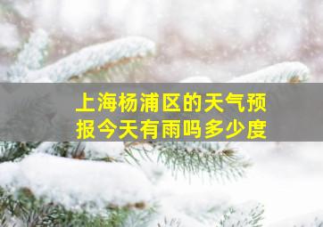 上海杨浦区的天气预报今天有雨吗多少度