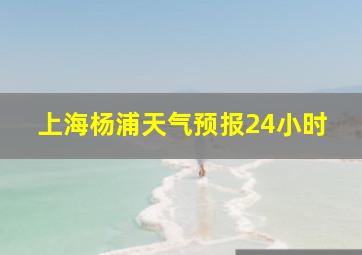 上海杨浦天气预报24小时